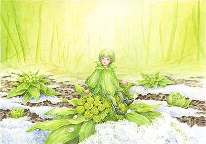 ふきのとうの頃